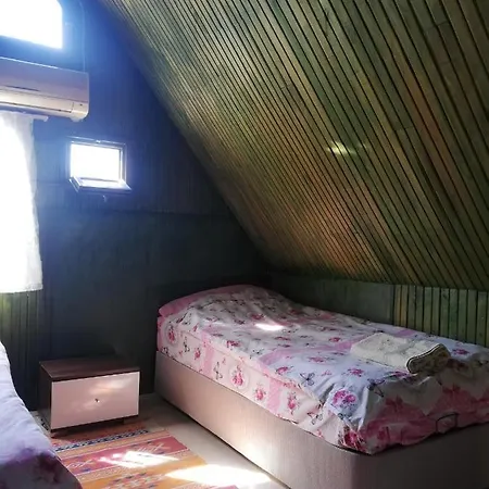 Cirali Camping * Çıralı